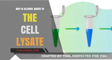 Why Alcohol is Added to Cell Lysate: Key Benefits Explained