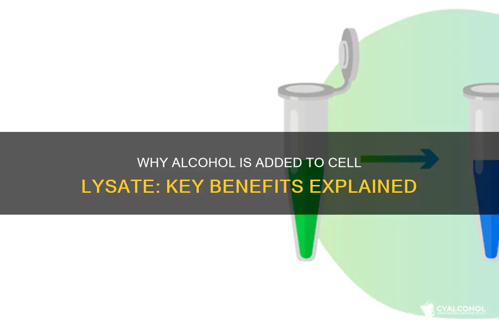 why is alcohol added to the cell lysate