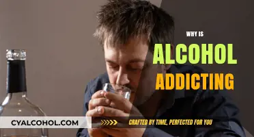 Understanding Alcohol Addiction: Causes, Effects, and Breaking the Cycle