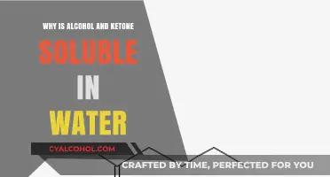 Understanding Alcohol and Ketone Solubility in Water: Chemistry Explained