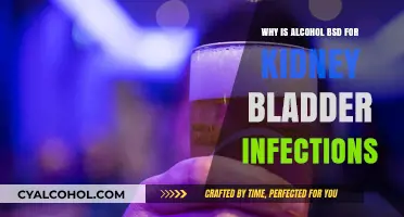Alcohol's Harmful Impact on Kidney and Bladder Infections: What You Need to Know