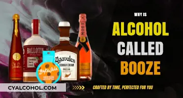 Why Alcohol is Called Booze: Uncovering the Surprising Origins
