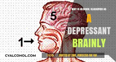 Why Alcohol is Classified as a Depressant: Brainly Explained