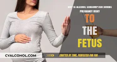 Alcohol in Pregnancy: Risks and Fetal Complications