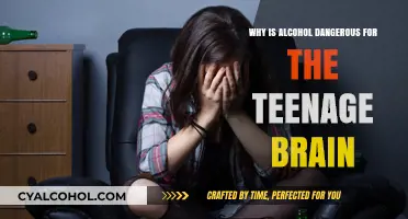 Alcohol's Impact: Why Teenage Brains Face Serious Risks and Dangers