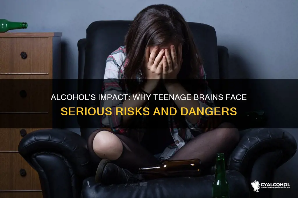 why is alcohol dangerous for the teenage brain
