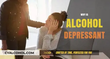 Understanding Alcohol's Depressant Effects on the Brain and Body