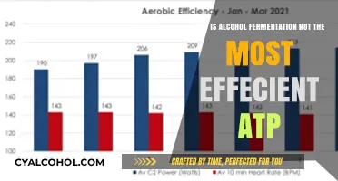 Alcohol Fermentation: Inefficient ATP Production, Why?