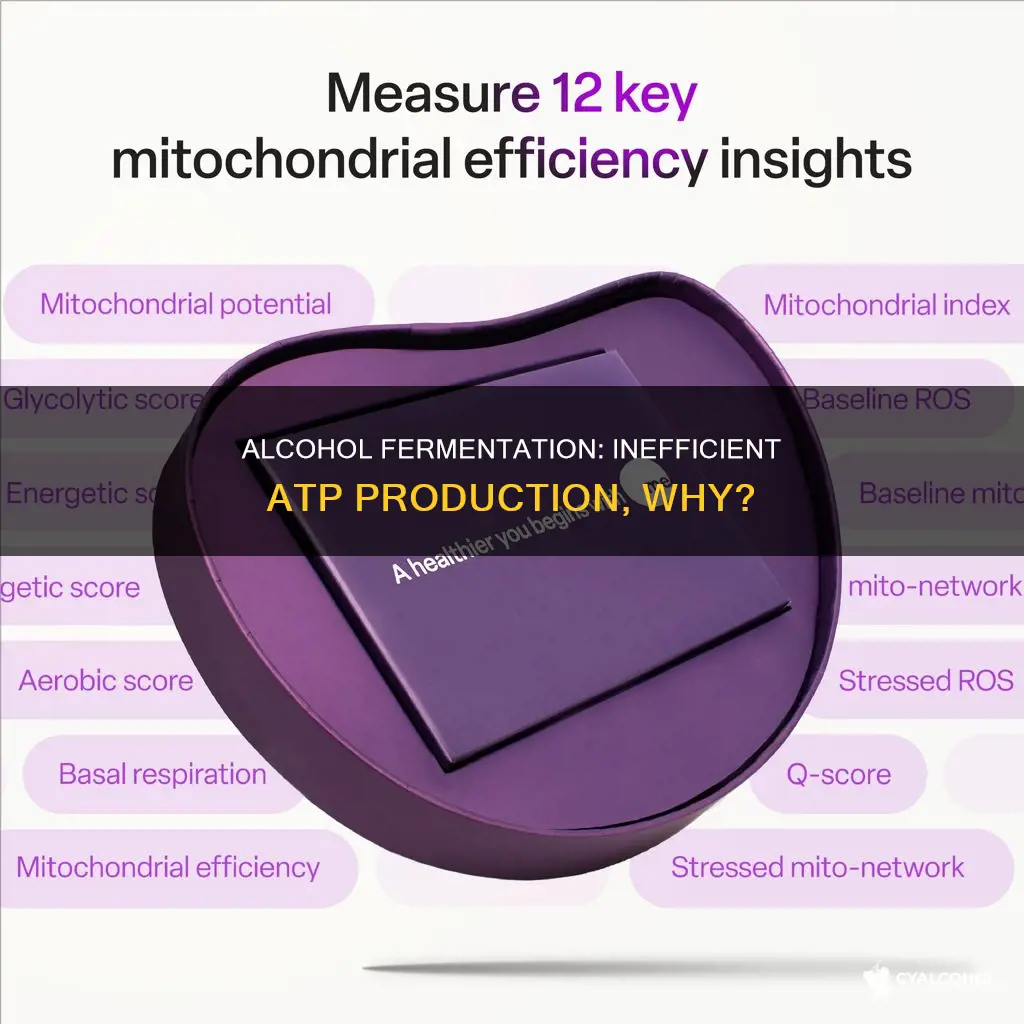 why is alcohol fermentation not the most effecient atp