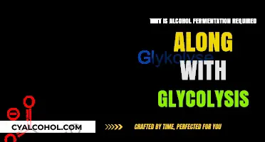 Alcohol Fermentation: Essential Partner to Glycolysis for Energy and Survival