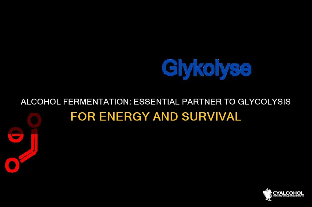 why is alcohol fermentation required along with glycolysis