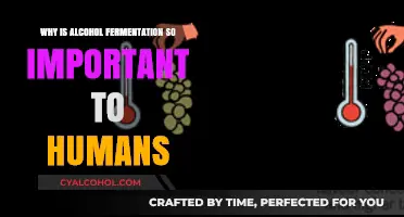 Alcohol Fermentation: A Key Human Innovation for Food, Culture, and Survival