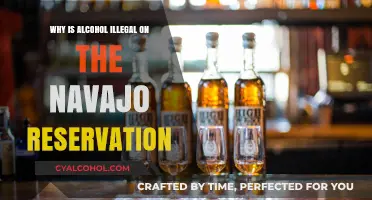 Understanding the Navajo Nation's Alcohol Ban: History and Impact