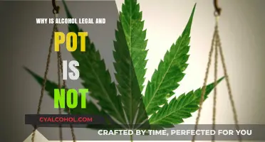 Alcohol Legal, Pot Not: Exploring the Double Standard in Substance Laws