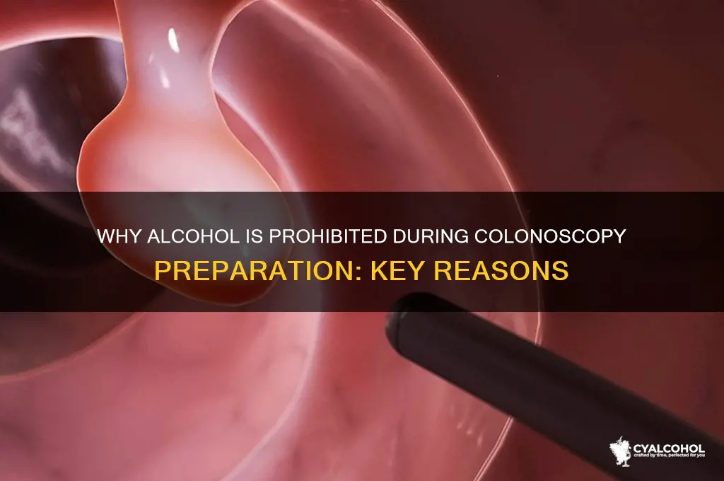 why is alcohol not allowed during colonoscopy preparation