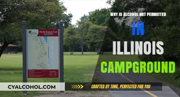 Alcohol Ban in Illinois Campgrounds: Understanding the Restrictions and Reasons