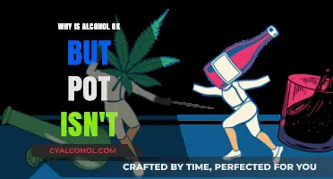 Alcohol Accepted, Cannabis Outlawed: Exploring the Double Standard in Society