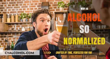Why Alcohol is Everywhere: Unpacking Society's Normalization of Drinking