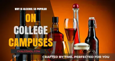 Why Alcohol Dominates College Culture: Exploring Campus Social Norms