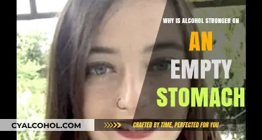 Empty Stomach, Heightened Effects: Why Alcohol Hits Harder Without Food