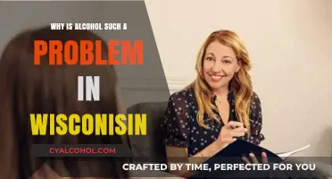 Wisconsin's Alcohol Crisis: Uncovering the Deep-Rooted Issues and Impact