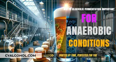 Alcoholic Fermentation: Key to Survival in Anaerobic Environments