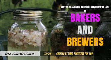 Fermentation: Bakers' and Brewers' Secret Weapon