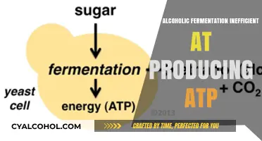 Why Alcoholic Fermentation Yields Low ATP: Inefficiency Explained