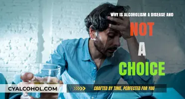 Alcoholism: A Disease, Not a Choice