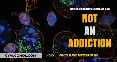 Alcoholism: Disease or Addiction? Understanding the Science