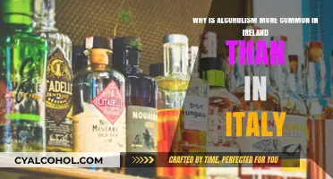 Alcoholism: Cultural Differences Between Ireland and Italy