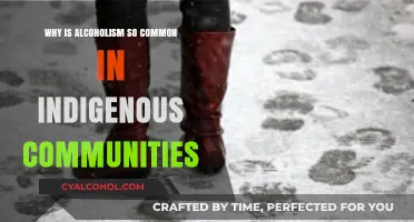 Understanding the Roots of Alcoholism in Indigenous Communities