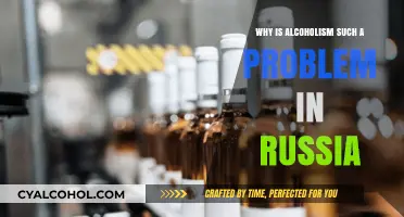 Russia's Alcoholism Crisis: Historical Roots, Cultural Norms, and Societal Impact