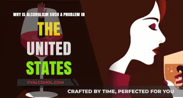 Alcoholism: A Persistent US Problem