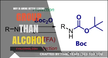 Amine vs. Alcohol: Why Amines Are Superior Leaving Groups in Reactions