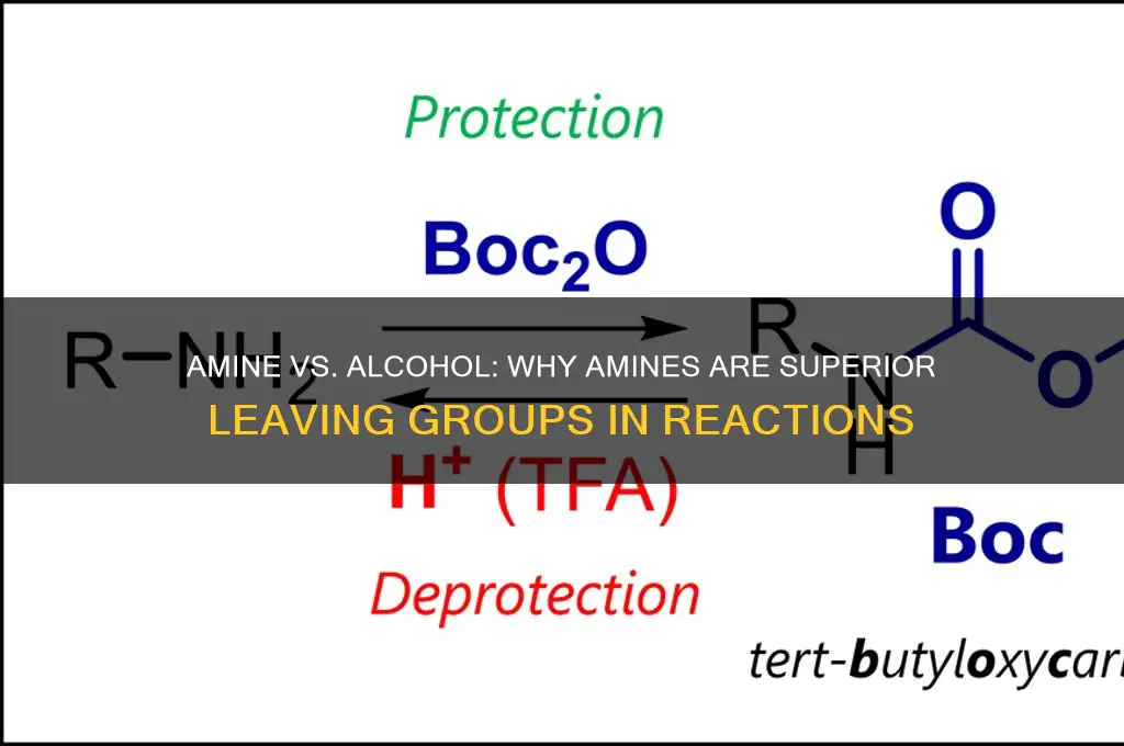 why is amine better leaving group than alcohol