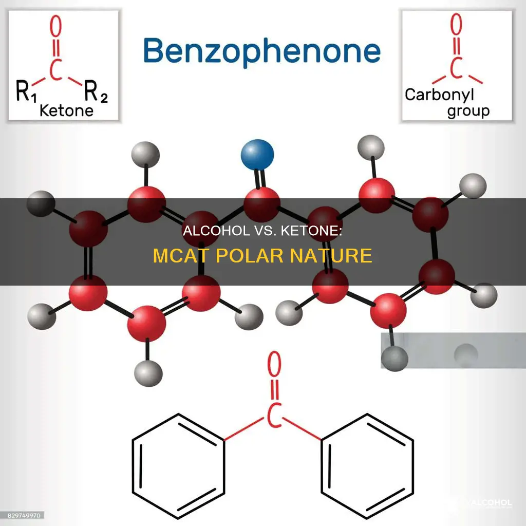 why is an alcohol more polar than a ketone mcat
