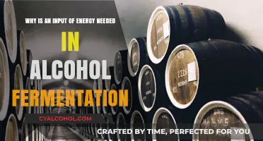 Energy Input: Alcohol Fermentation Explained