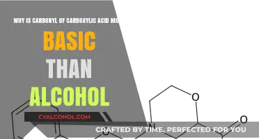 Carbonyl Basics: Carboxylic Acid vs. Alcohol