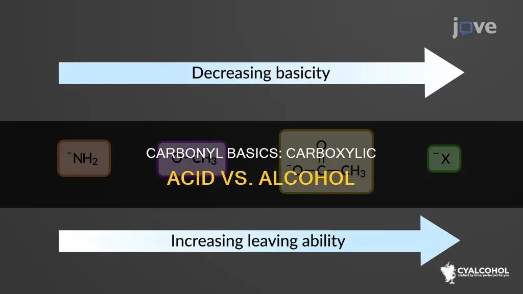 why is carbonyl of carboxylic acid more basic than alcohol