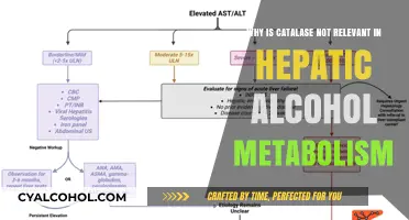 Catalase's Role in Alcohol Metabolism: A Minor Player