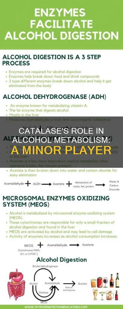 why is catalase not relevant in hepatic alcohol metabolism