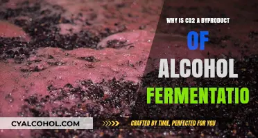 Understanding CO2 as a Key Byproduct in Alcohol Fermentation