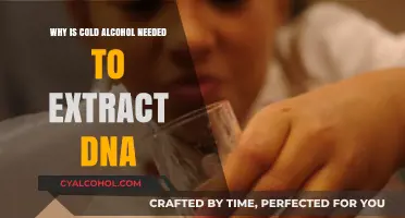 Why Cold Alcohol is Essential for Effective DNA Extraction