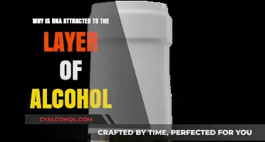 DNA, Alcohol Layer: What's the Attraction?