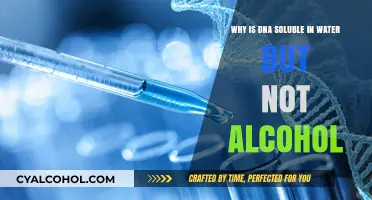 DNA's Water Solubility: Alcohol's Intrigue