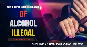 Drunk Driving: Why It's Illegal and Dangerous