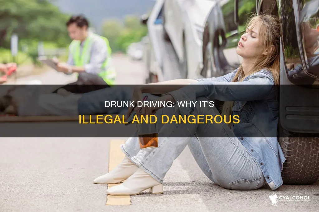 why is driving under the influence of alcohol illegal