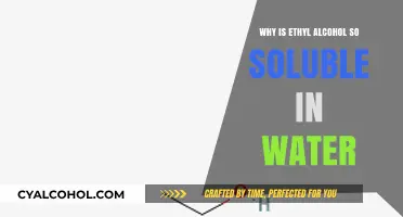 Why Ethyl Alcohol Dissolves Easily in Water: A Chemical Insight