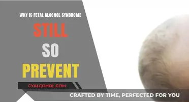 Fetal Alcohol Syndrome: Understanding the Persistent Prevention Challenges